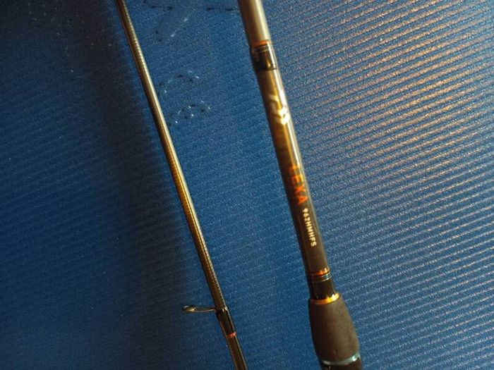 Daiwa lexa seabass 9.6 10-35g
