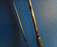Daiwa lexa seabass 9.6 10-35g