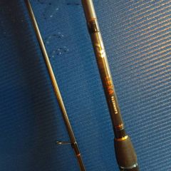 Daiwa lexa seabass 9.6 10-35g