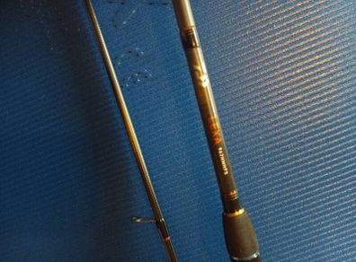 Daiwa lexa seabass 9.6 10-35g