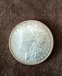 1885 Silver Dollar (Philadelphia Mint)