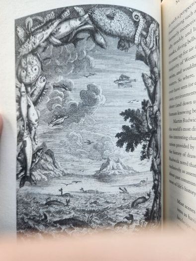Stephen Jay Gould. Leonardo's Mountain of claims and the Diet of Worms. Hardback With Dustjacket In Good Condition.