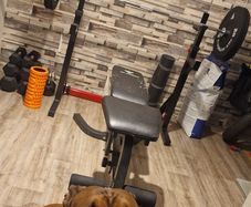 Barbell, dumbbells and others
