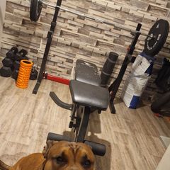 Barbell, dumbbells and others