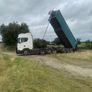 Top quality hen dung Image 3