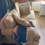 Free couch Image 3