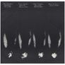 Radiators - Ghostown, Vinyl, LP, 1979 Image 5