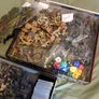 Imperial Assault Image 7