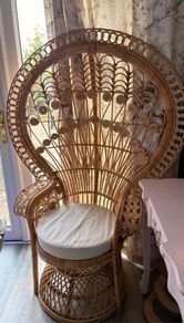 Peacock Chair