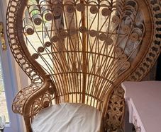 Peacock Chair