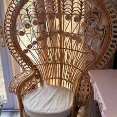Peacock Chair
