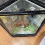 Shop glass display counter retail checkout Image 2