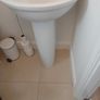 FREE wash hand basin ,pedestal  and tap Image 3
