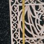 Art Noveau Style Cast Iron Dragon Fly Door Mat Image 4