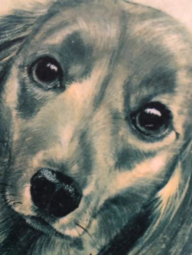 Vintage Pollyanna Pickering Framed Long-Haired Dachshund Dog Print 16cm x 13cm