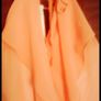BNWOT Swing Modelle Multi Layered Overlap Halter Style Chiffon Dress Image 6