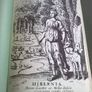 The Irish World The history and cultural achievement of the Irish people Ireland Image 2