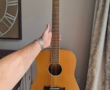 Tanglewood 12 String