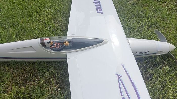 RC model plane