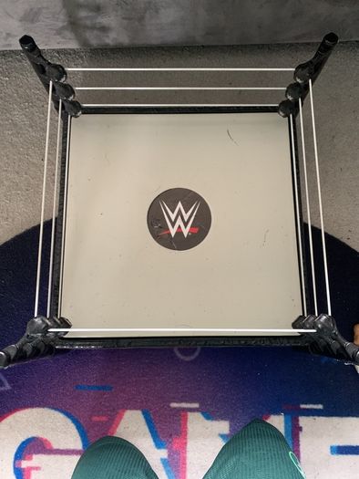 WWE action figures
