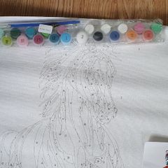 BNIB - A Beautiful Art Set - Canvas DIY Painting by Numbers - See Pics as Super Project for any Budding Artist - #