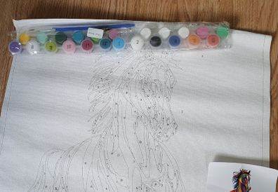 BNIB - A Beautiful Art Set - Canvas DIY Painting by Numbers - See Pics as Super Project for any Budding Artist - #