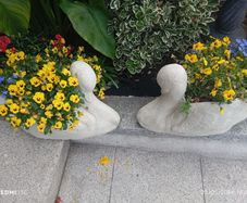 garden planters