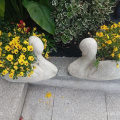 garden planters
