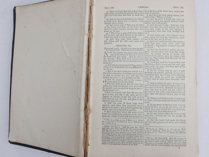 Vintage spine of a Catholic Douay Bible published by James Duffy & Co. Ltd. in Dublin.