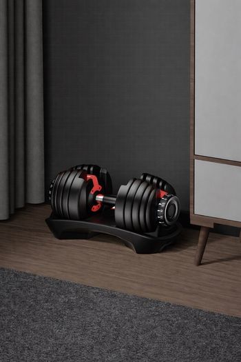 dumbbell adjustable 25 kg