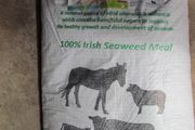 Seaweed for Cattle