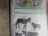 main image for ad Seaweed for Cattle