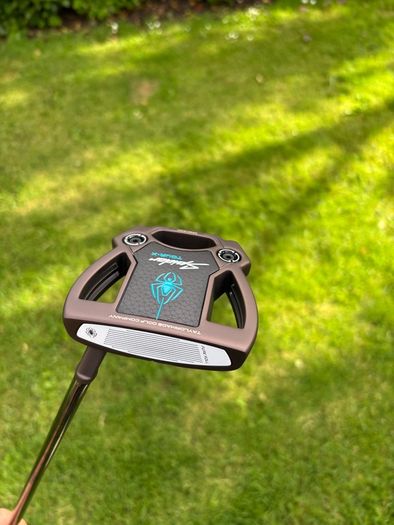 Taylormade spider tour x