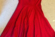 Beautiful H&amp;R Swing Dress With Petticoat