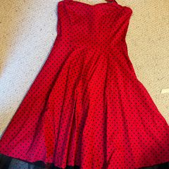 Beautiful H&R Swing Dress With Petticoat
