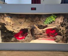 Custom Vivarium