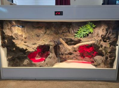 Custom Vivarium