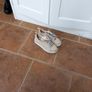 Andia Fora Cream Leather Flats Size 4 Image 2