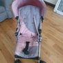 Buggy Image 2