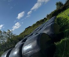 Hay/haylage