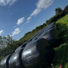 Hay/haylage