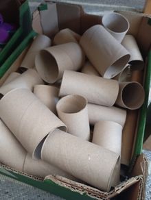 Toilet paper rolls