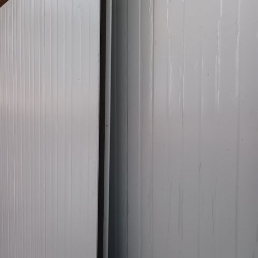 Insulated wall and roof panels