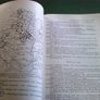 Clogher Record 1990 Ireland Irish local history Monaghan Donegal Image 4
