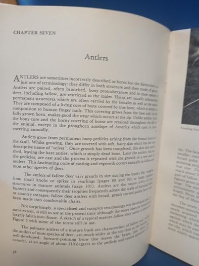 Fallow Deer book
