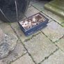 bonsai pot Image 2