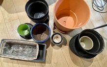 Plant pots
