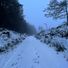 Wicklowfox