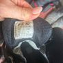 motorbike gear Image 5