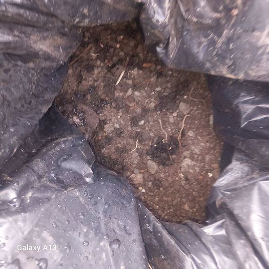 Free to take away,top rate top soil